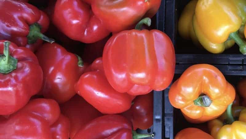 Bell Peppers Test Results