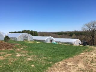 O2Grow Scenic Valley Farms High Tunnel Starwberry Test Erik Gundacker