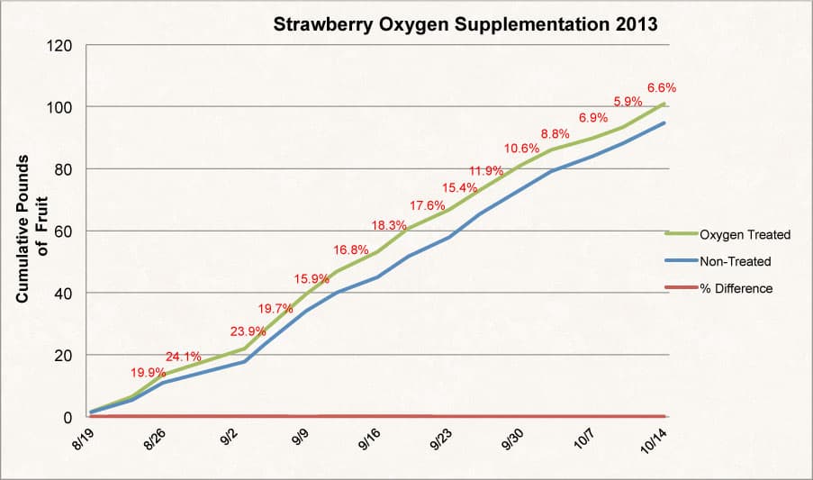 Oxygen Treated Fruit