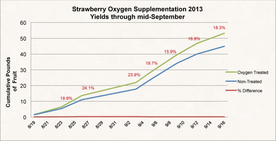 Strawberry Oxygen Supplementation Test O2Grow