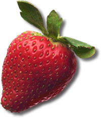 O2Grow Strawberry Grow Test