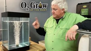 Read more about the article View the new series of O2 Grow videos